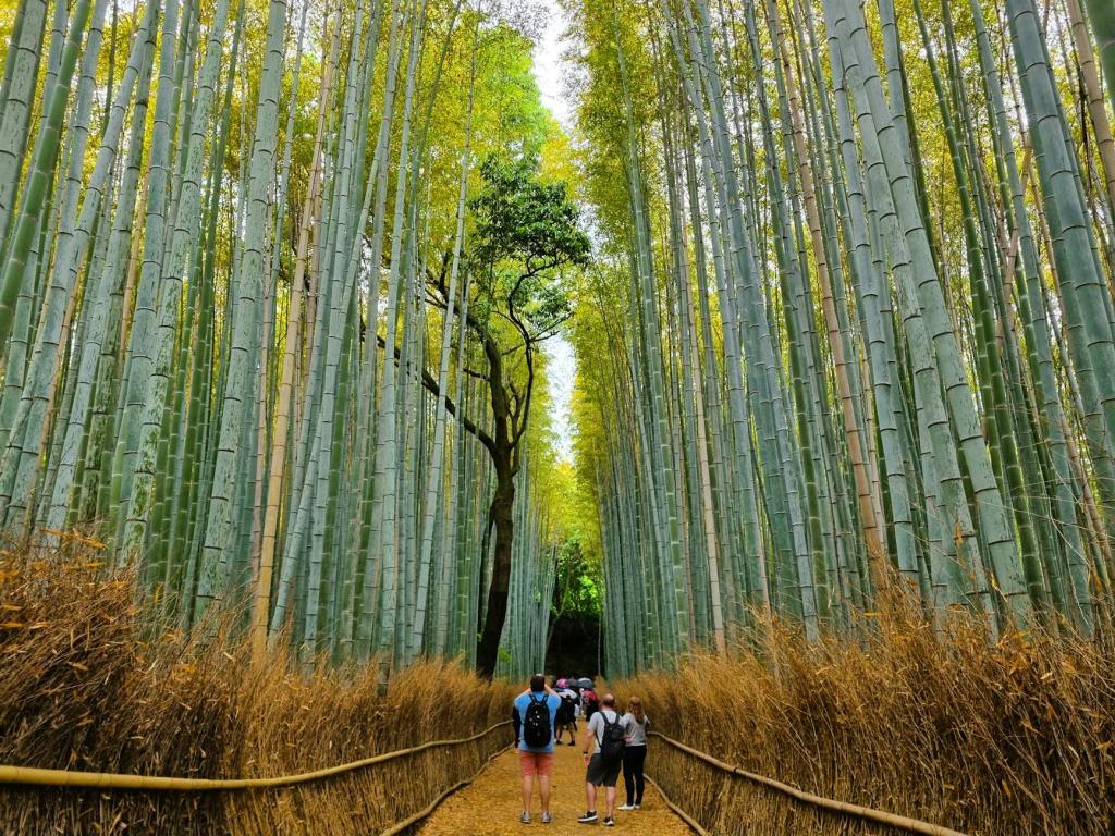 Naw-tlawh Raina Oen Naw-hawm&nbsp;Raina