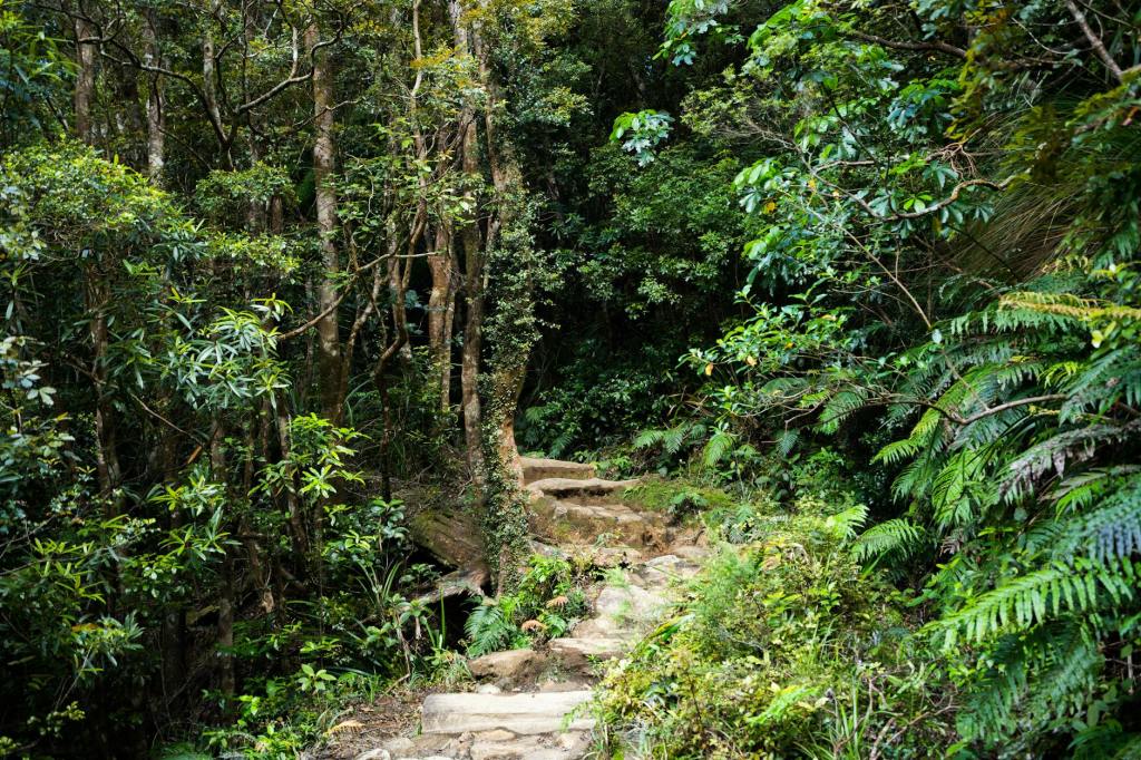 Matu/Samari Thlangtheen